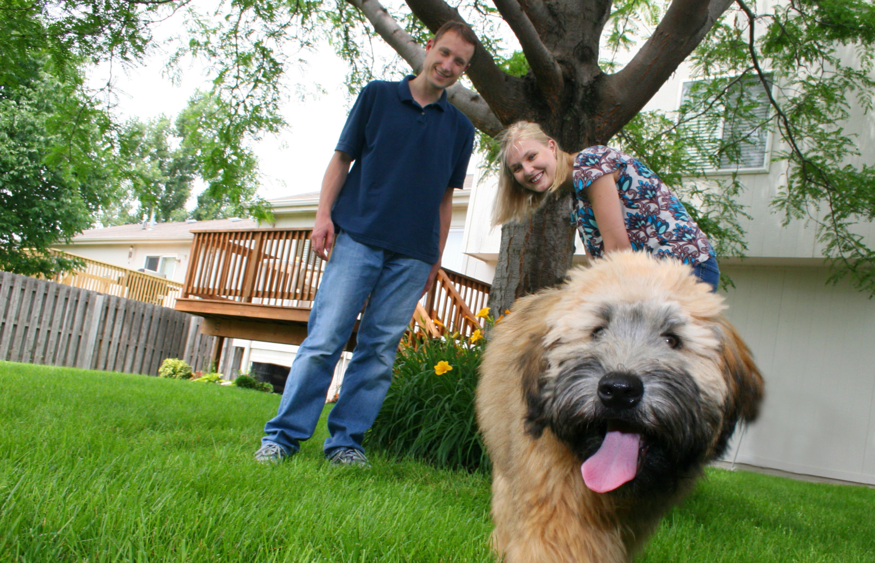 young couple in a backyard playing with a dog